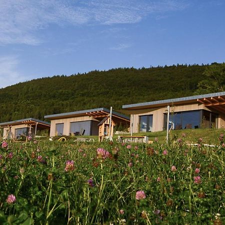 An Webers Stoag Vila Geisingen Exterior foto
